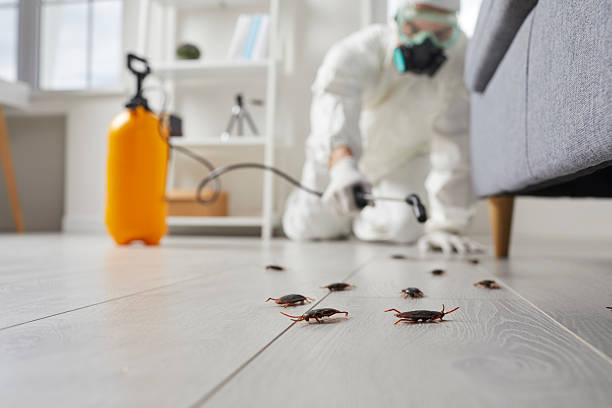 Commercial Kitchen Cockroach Control in Gridley